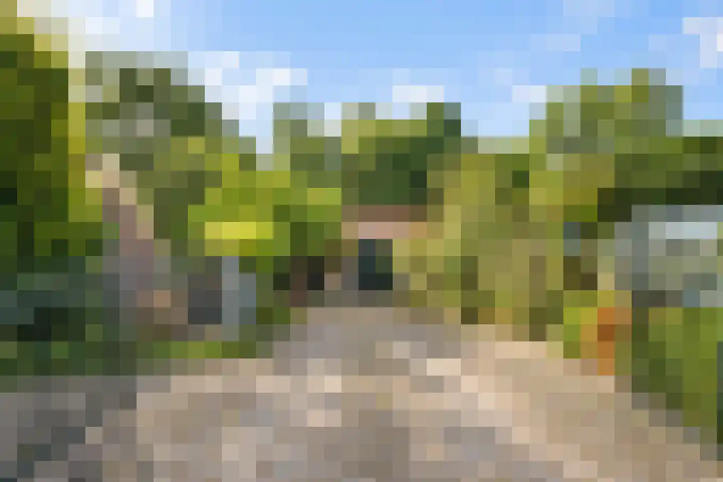 Elzendweg 29 Bergharen thumbnail 80