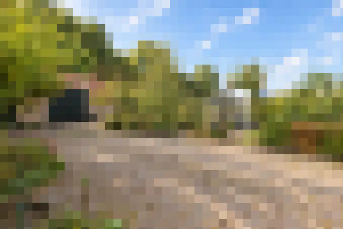 Elzendweg 29 Bergharen thumbnail 81