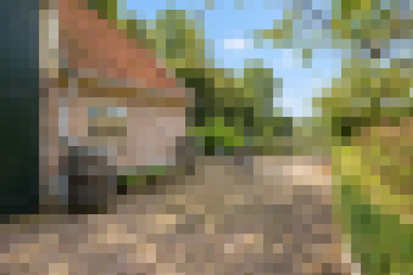 Elzendweg 29 Bergharen thumbnail 85