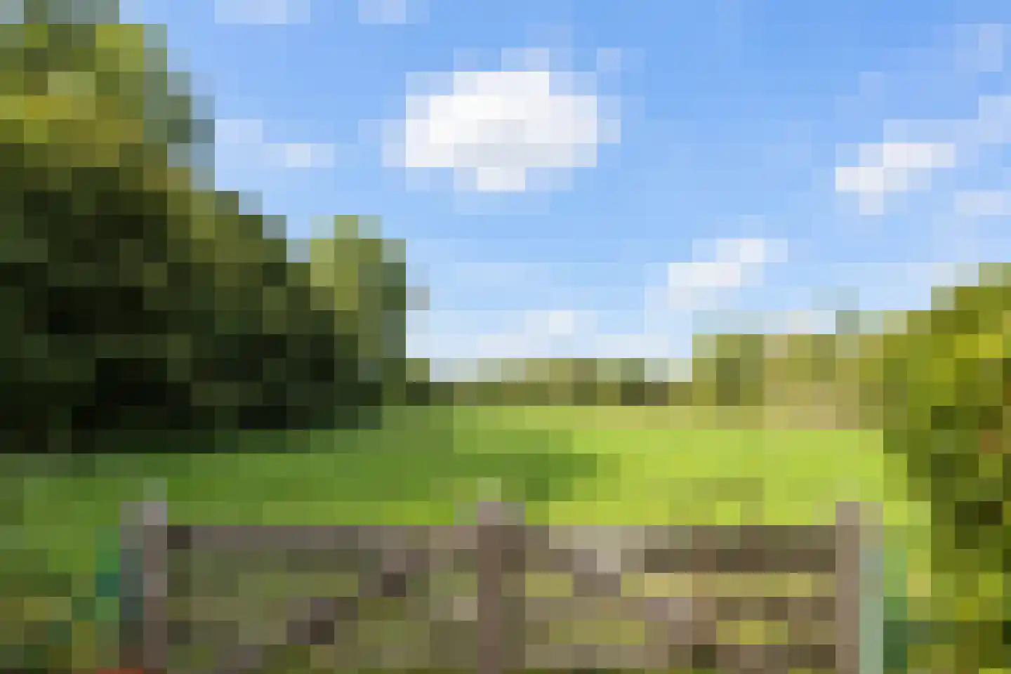 Elzendweg 29 Bergharen thumbnail 86
