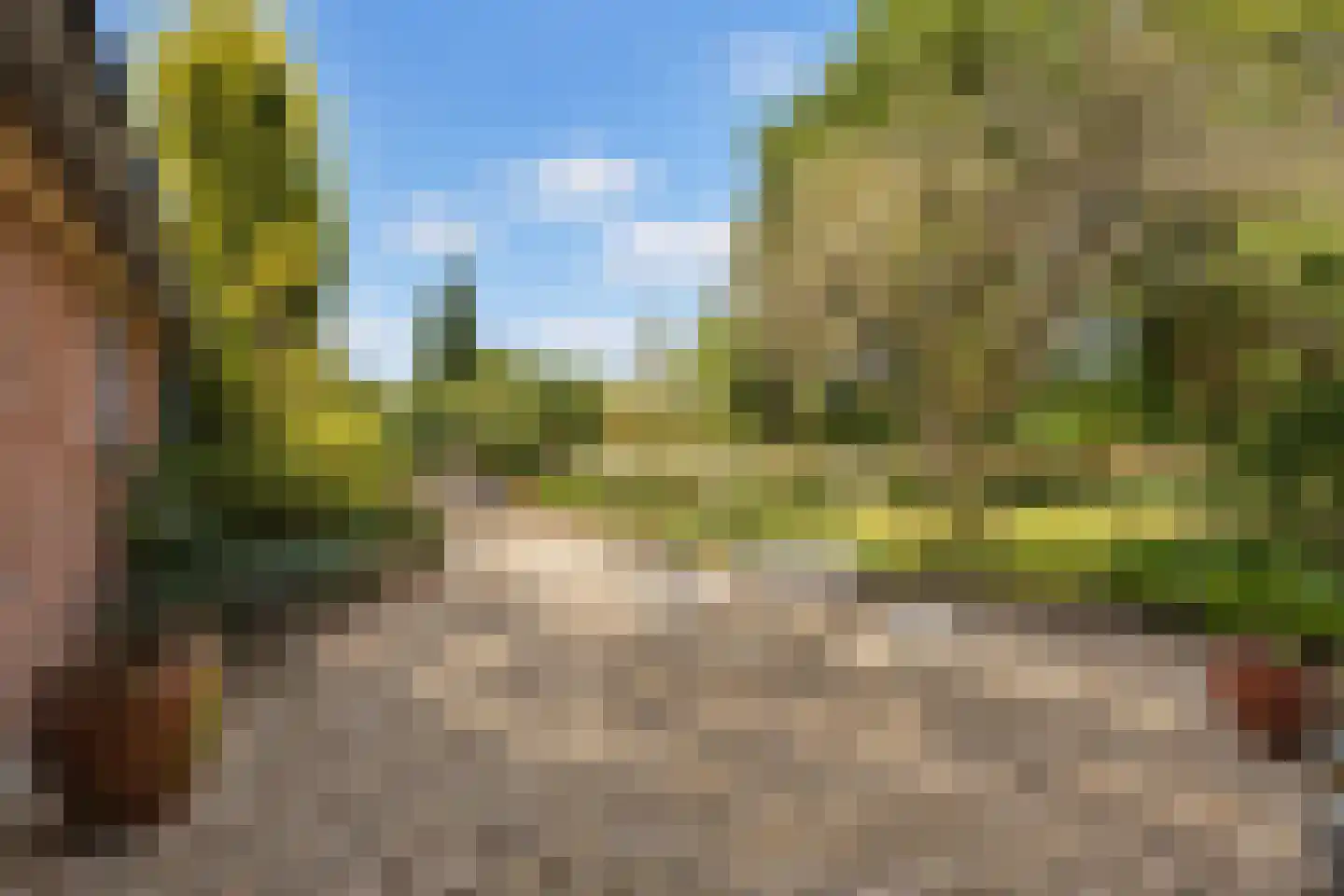Elzendweg 29 Bergharen thumbnail 88