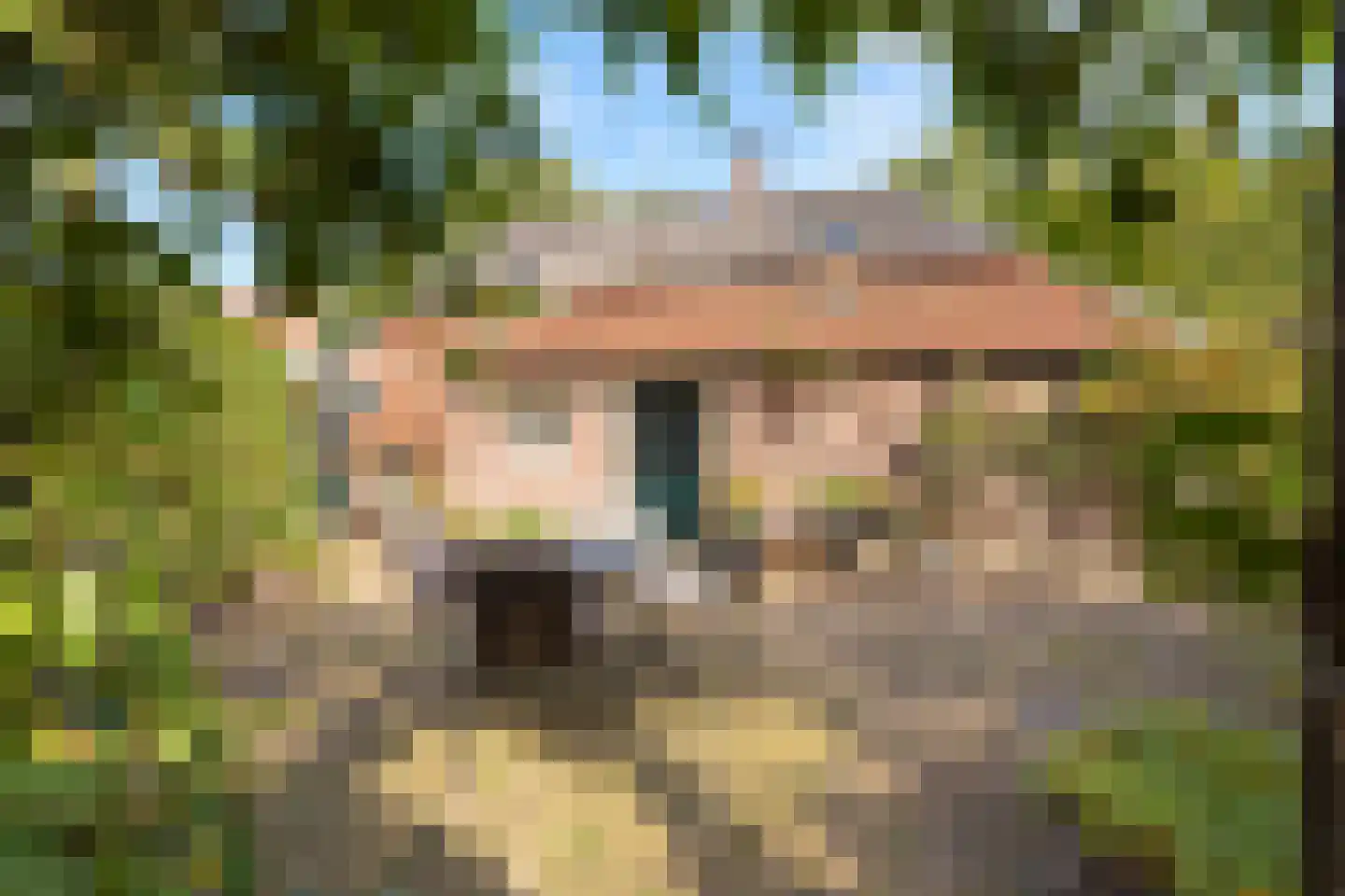 Elzendweg 29 Bergharen thumbnail 90