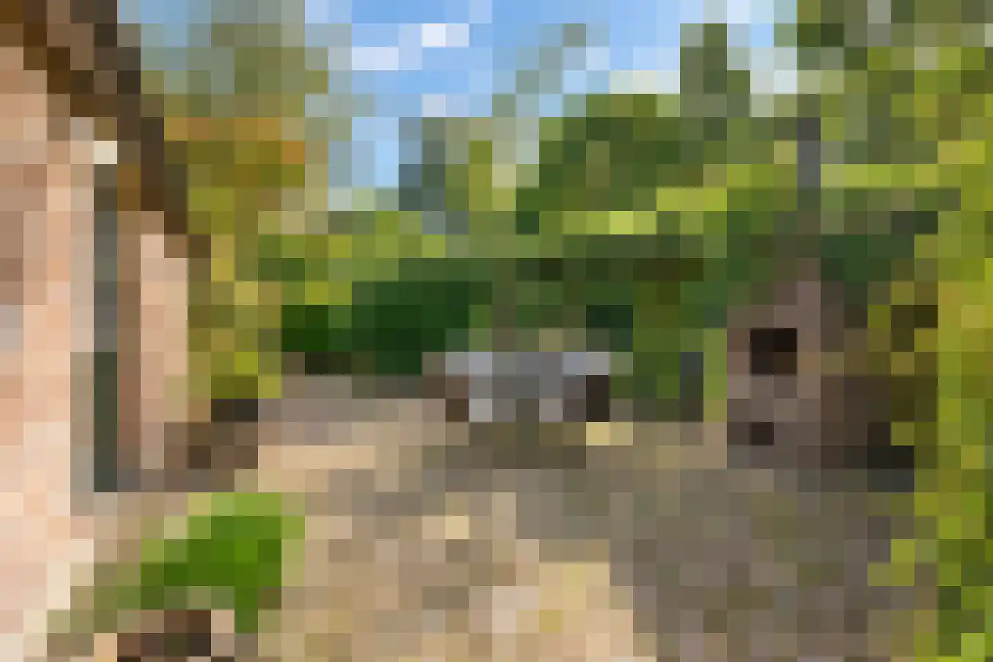 Elzendweg 29 Bergharen thumbnail 92