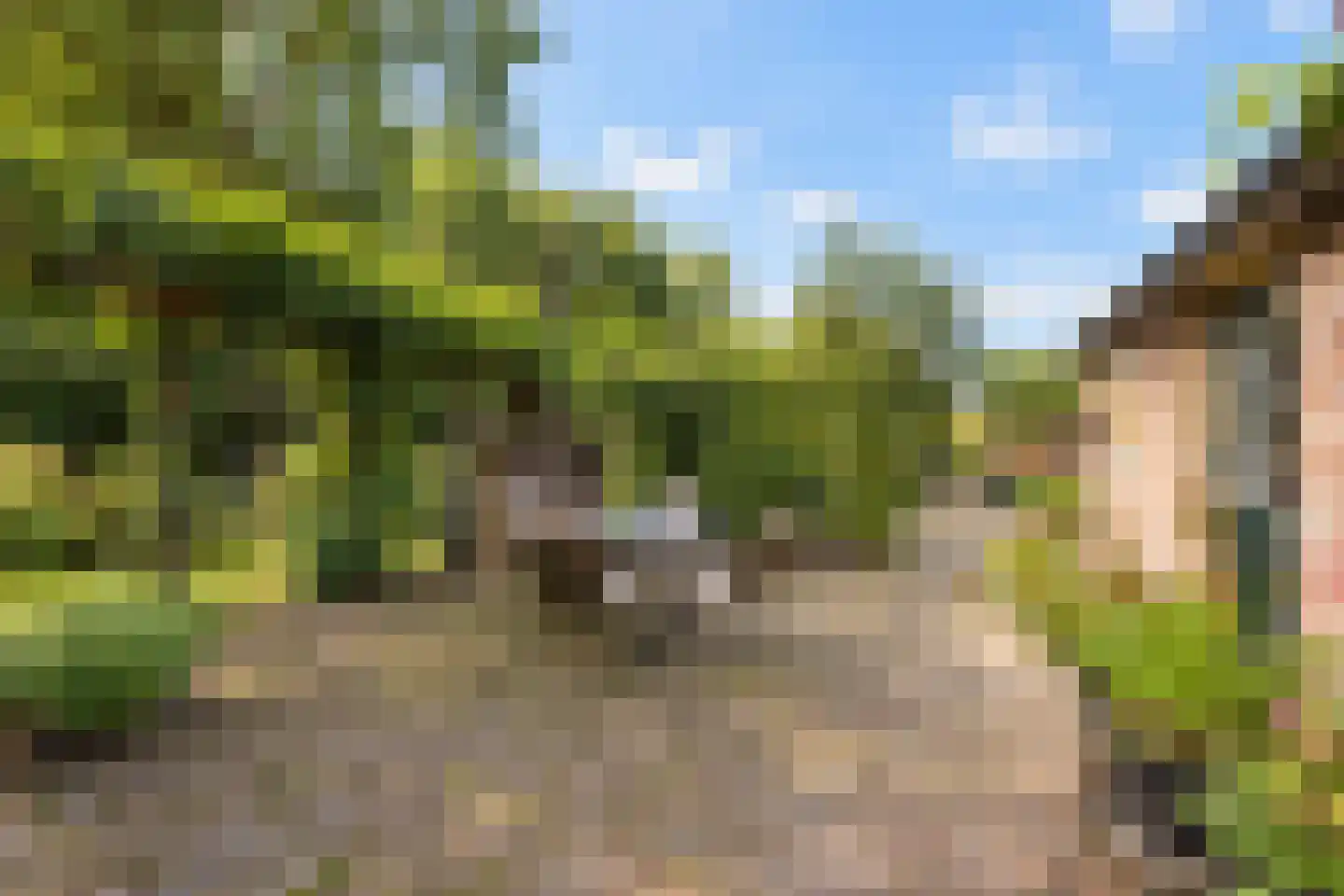 Elzendweg 29 Bergharen thumbnail 93