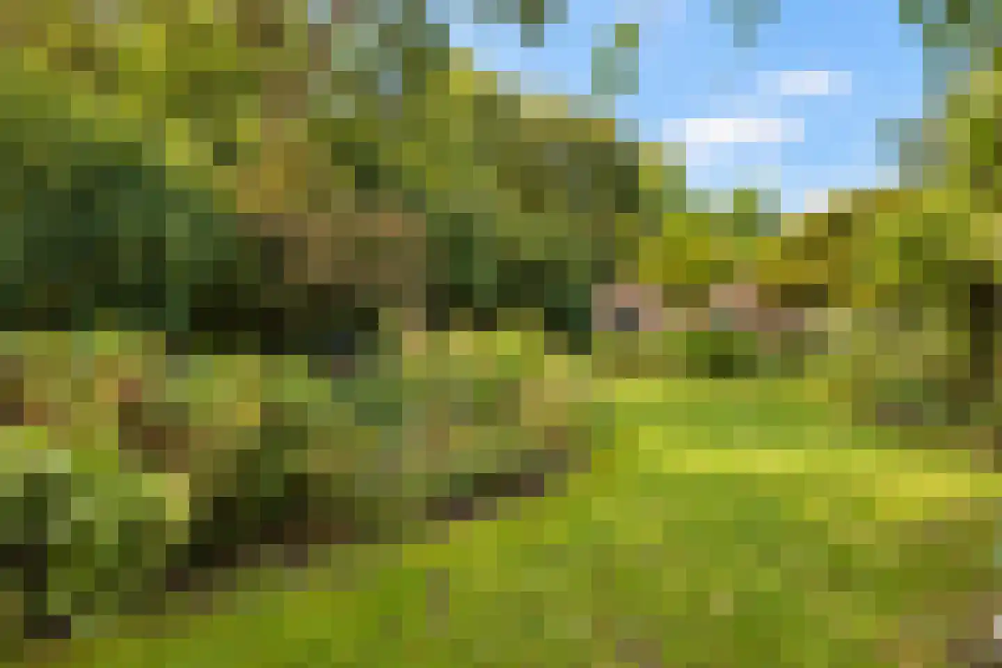 Elzendweg 29 Bergharen thumbnail 94
