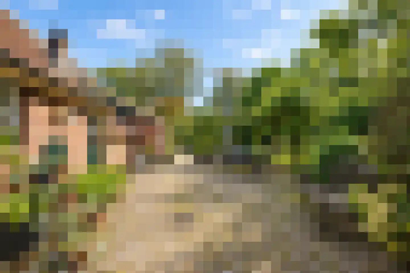 Elzendweg 29 Bergharen thumbnail 95