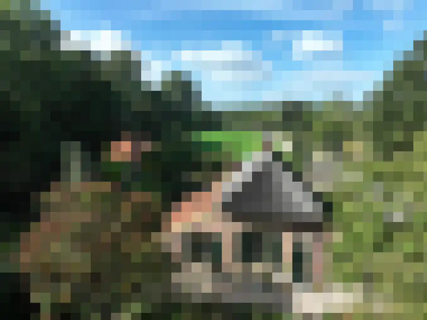 Elzendweg 29 Bergharen thumbnail 98