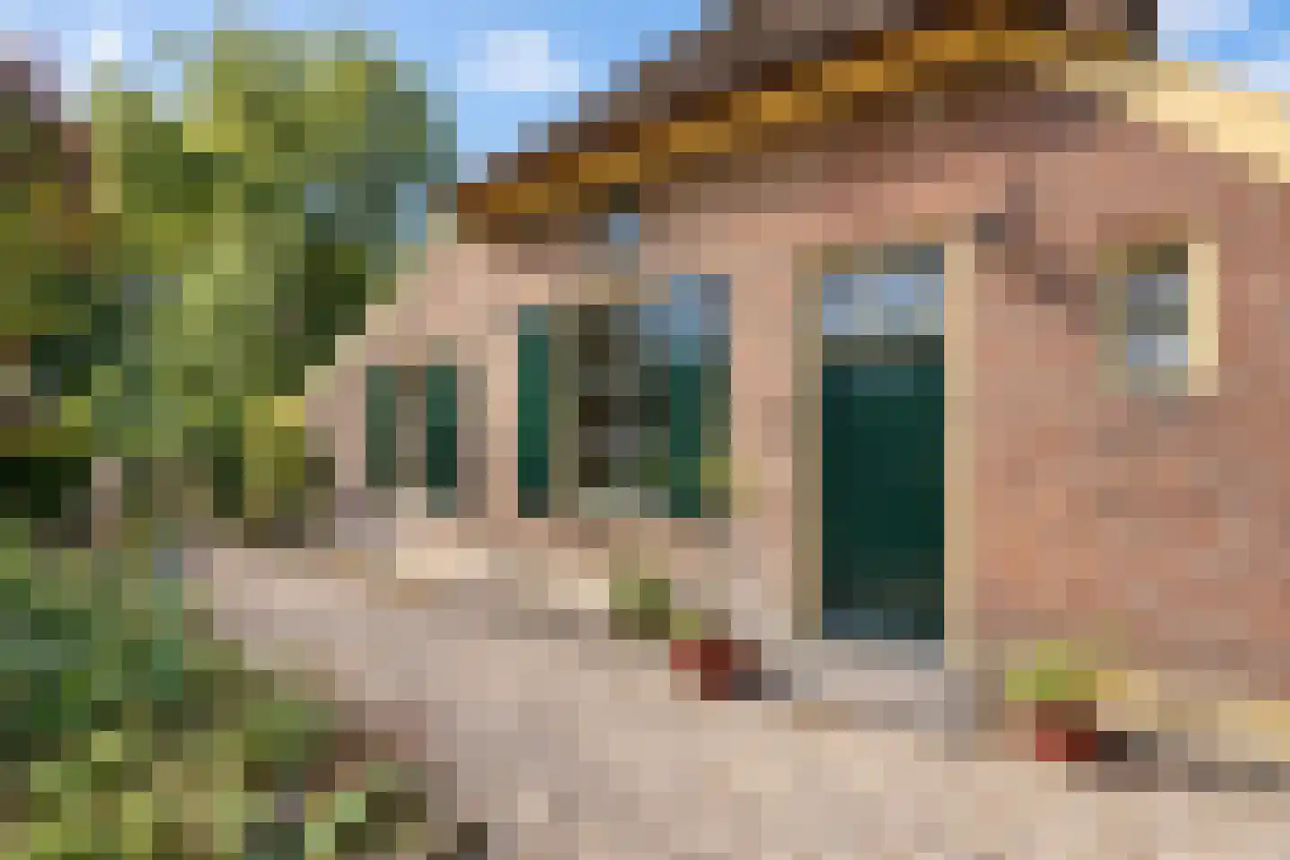 Elzendweg 29 Bergharen thumbnail 99