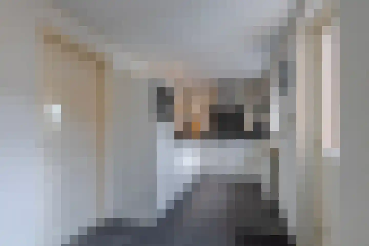 Elzenerf 9 Wehl thumbnail 10