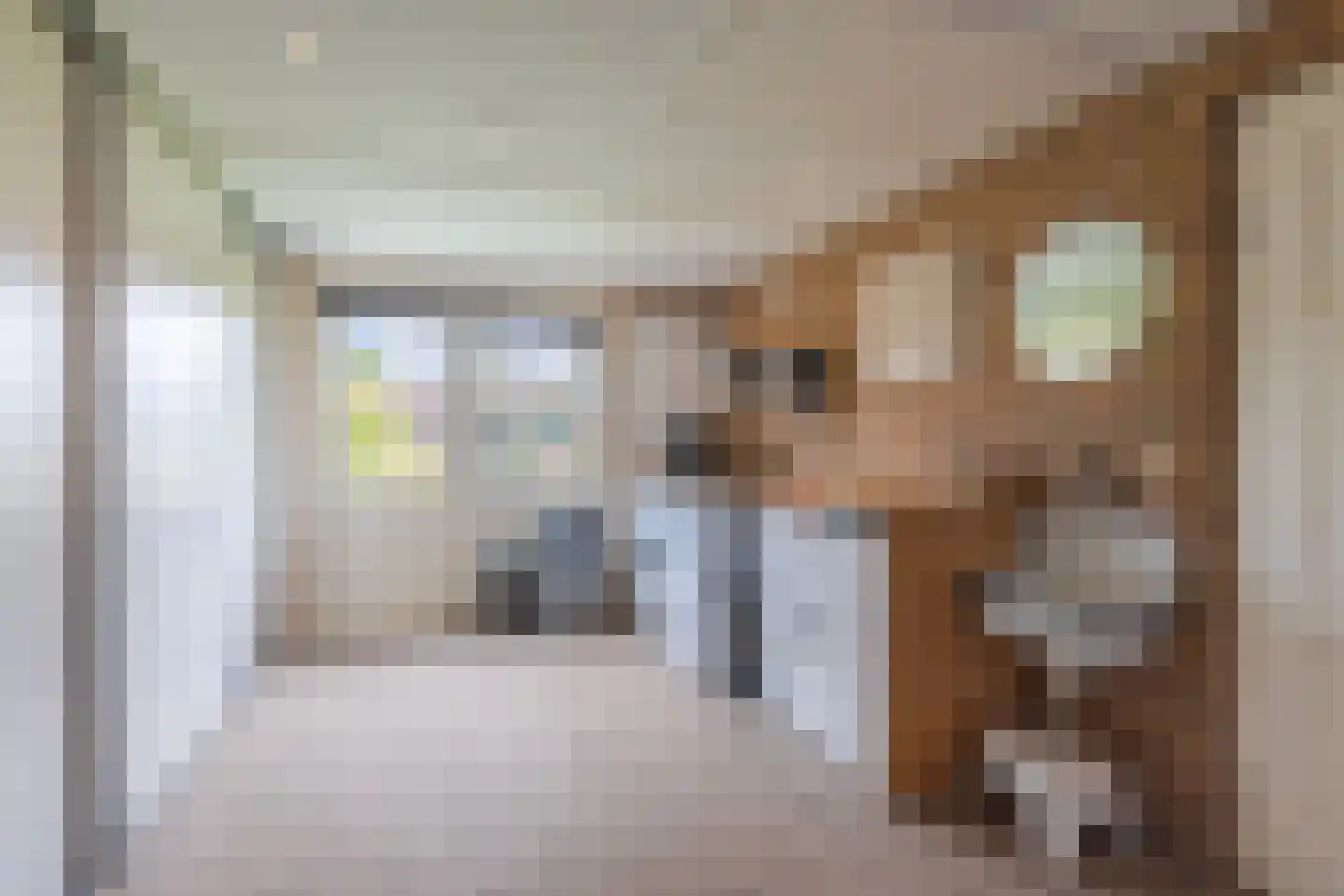 Elzenerf 9 Wehl thumbnail 12