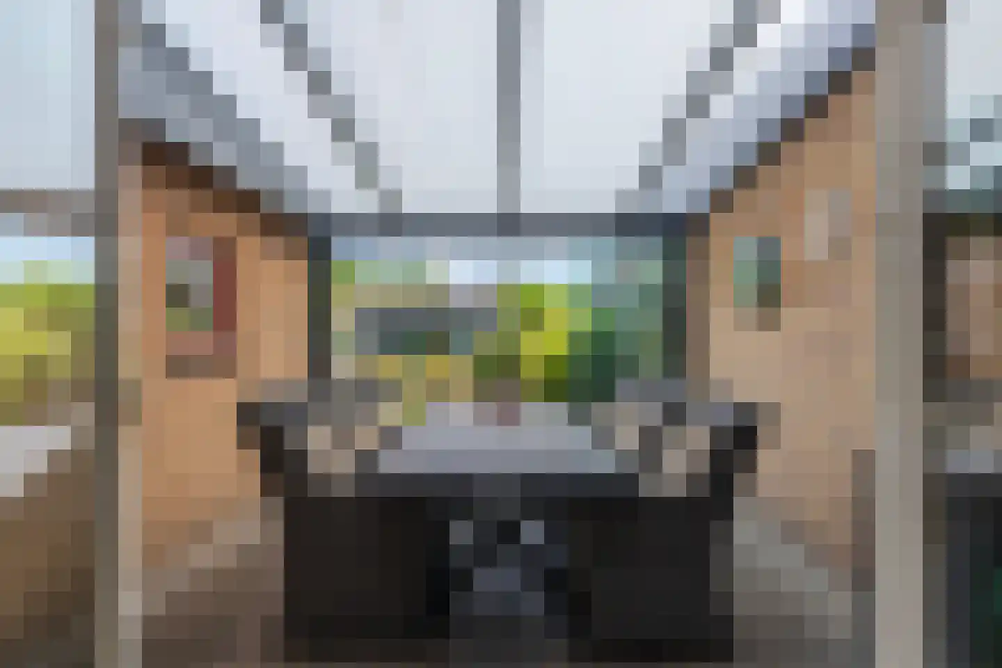 Elzenerf 9 Wehl thumbnail 13