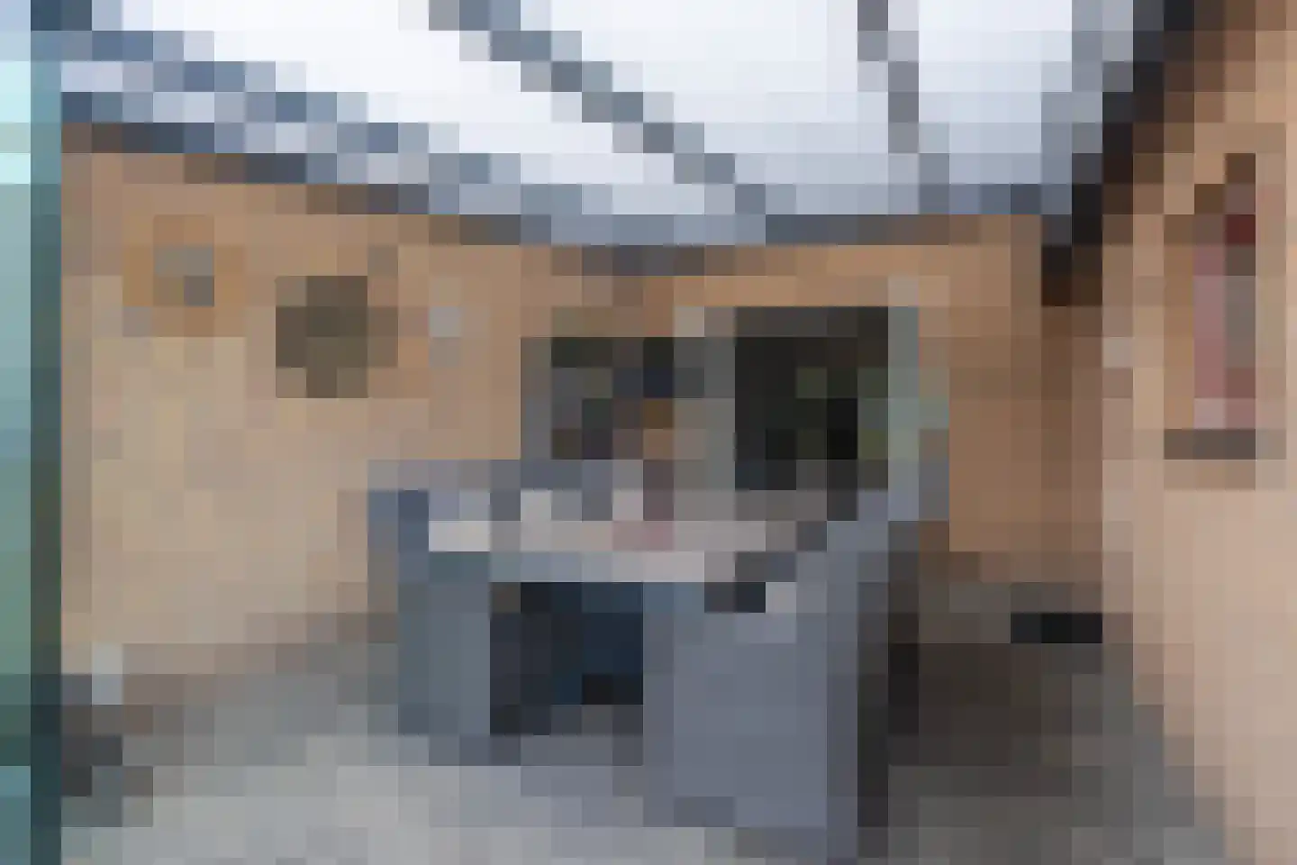 Elzenerf 9 Wehl thumbnail 14