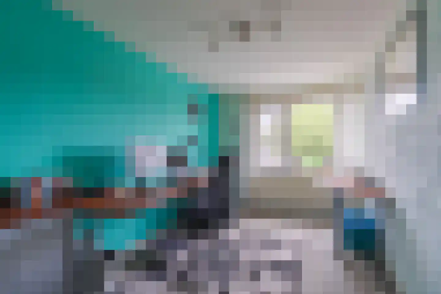 Elzenerf 9 Wehl thumbnail 29