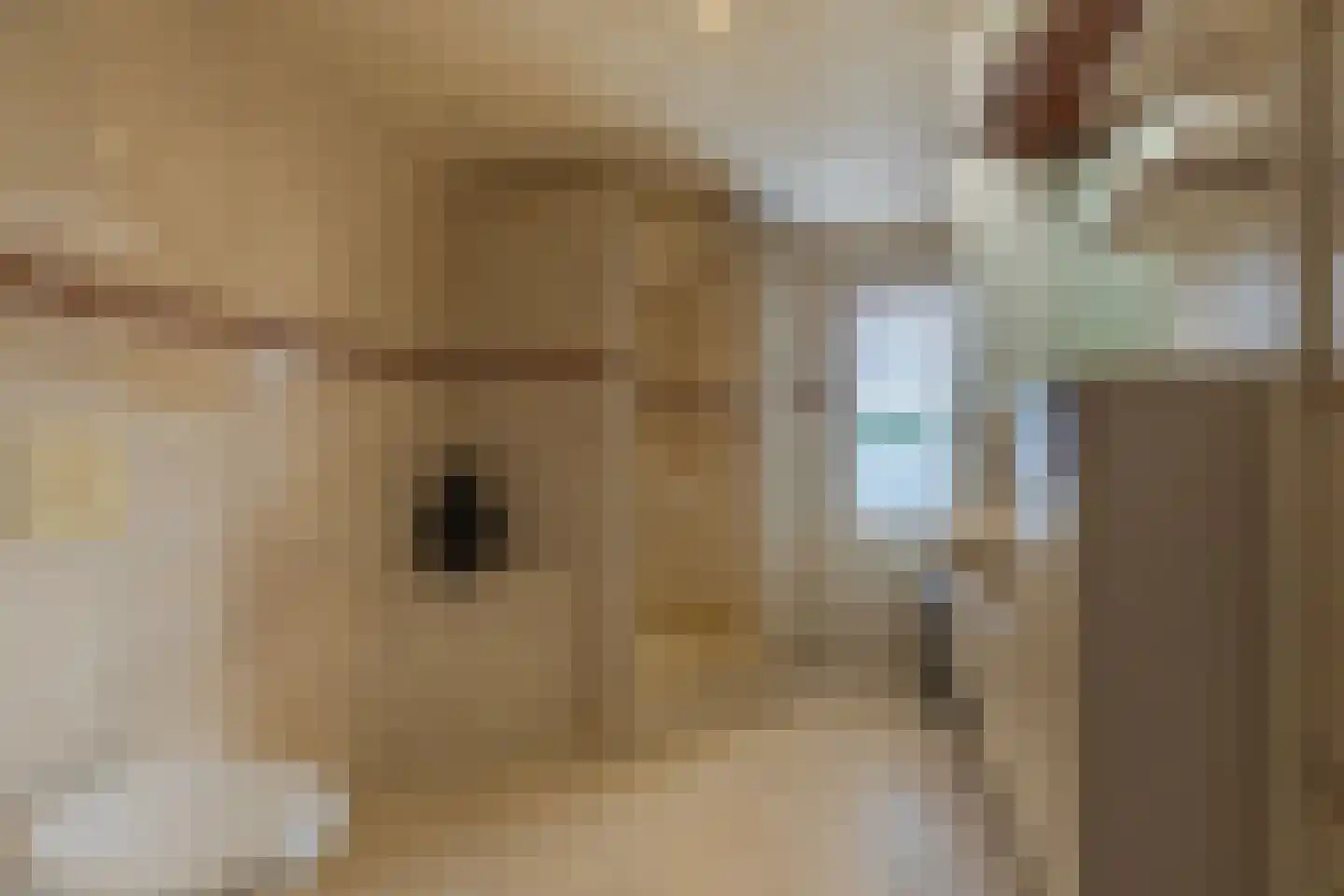 Elzenerf 9 Wehl thumbnail 31