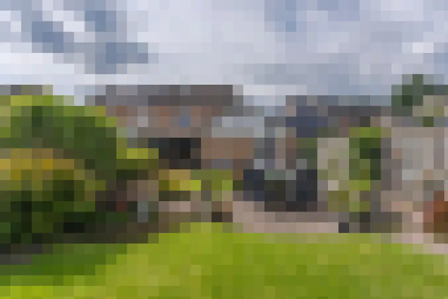 Elzenerf 9 Wehl thumbnail 4