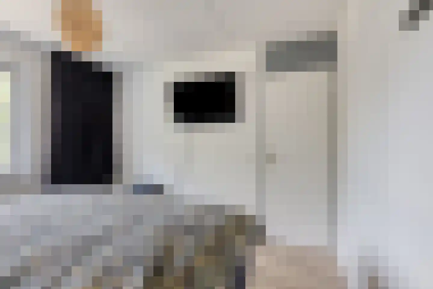 Elzengaard 2 Goirle thumbnail 15