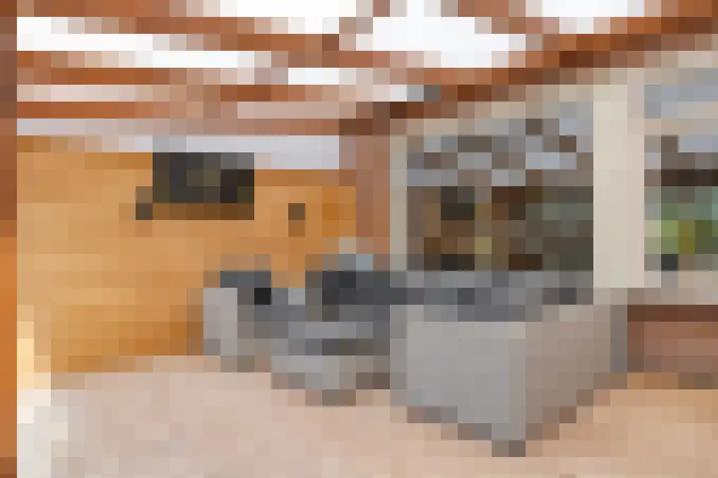 Elzengaard 2 Goirle thumbnail 25