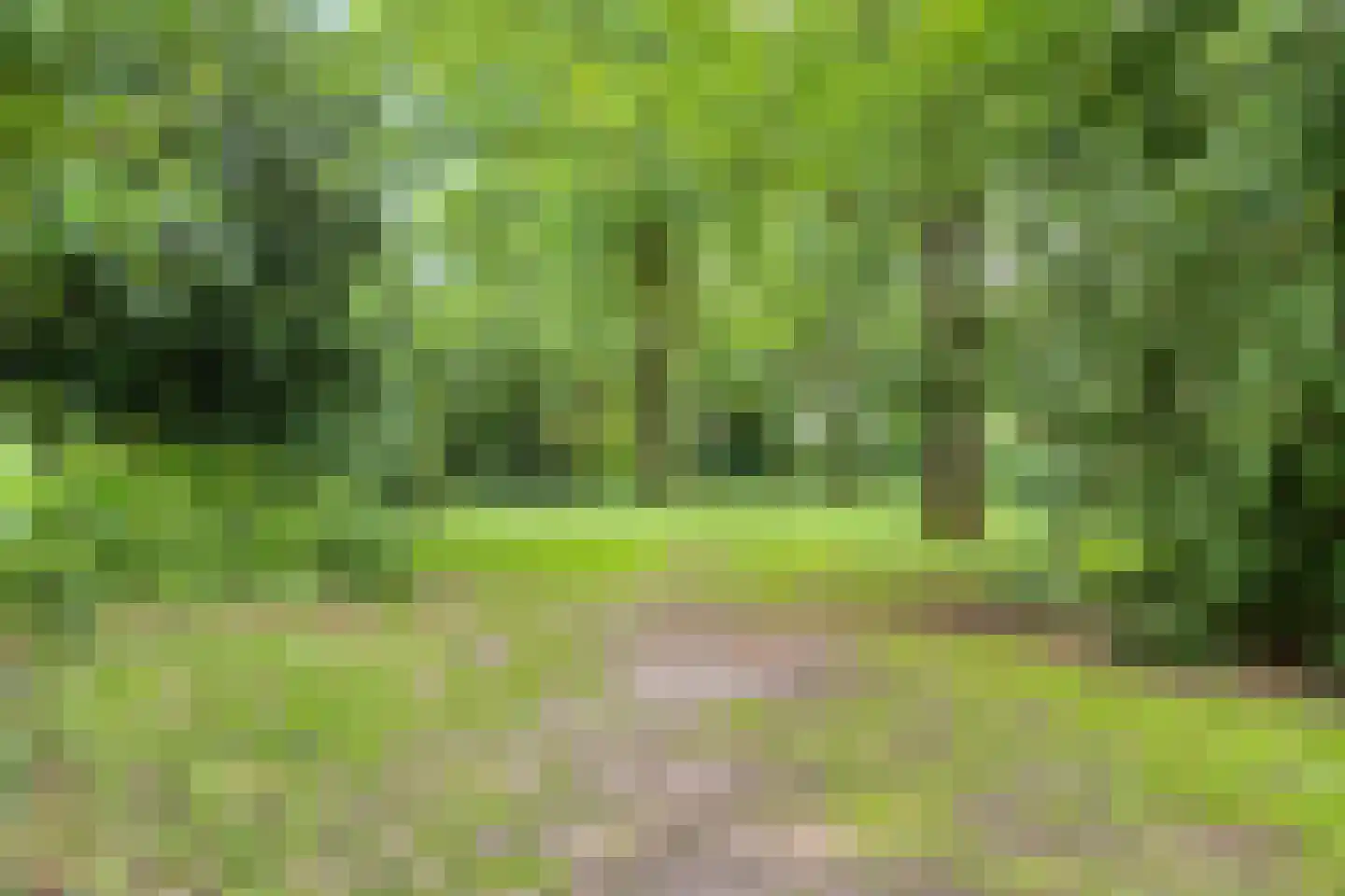 Elzengaard 2 Goirle thumbnail 32
