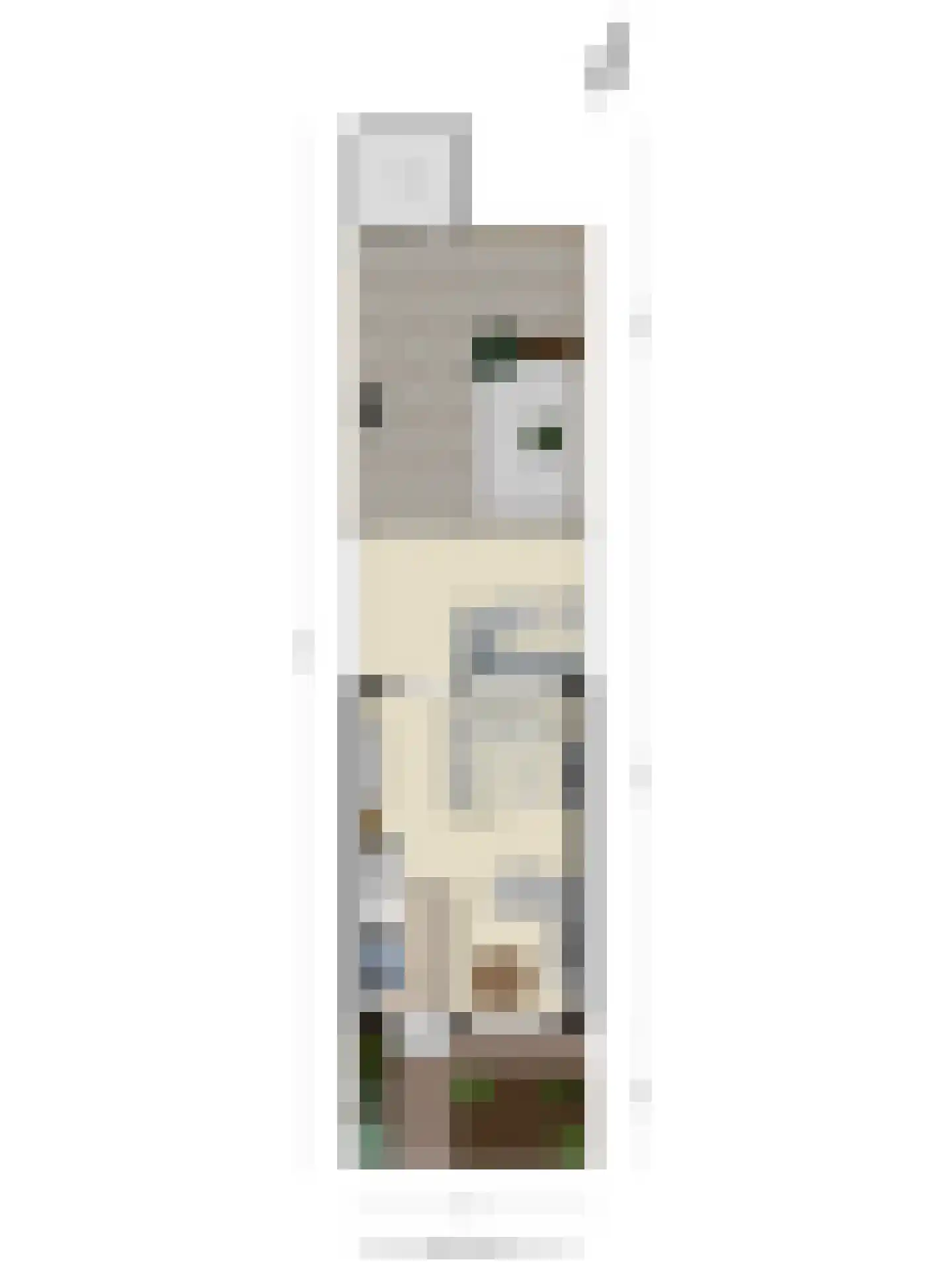 Elzengaard 2 Goirle thumbnail 34