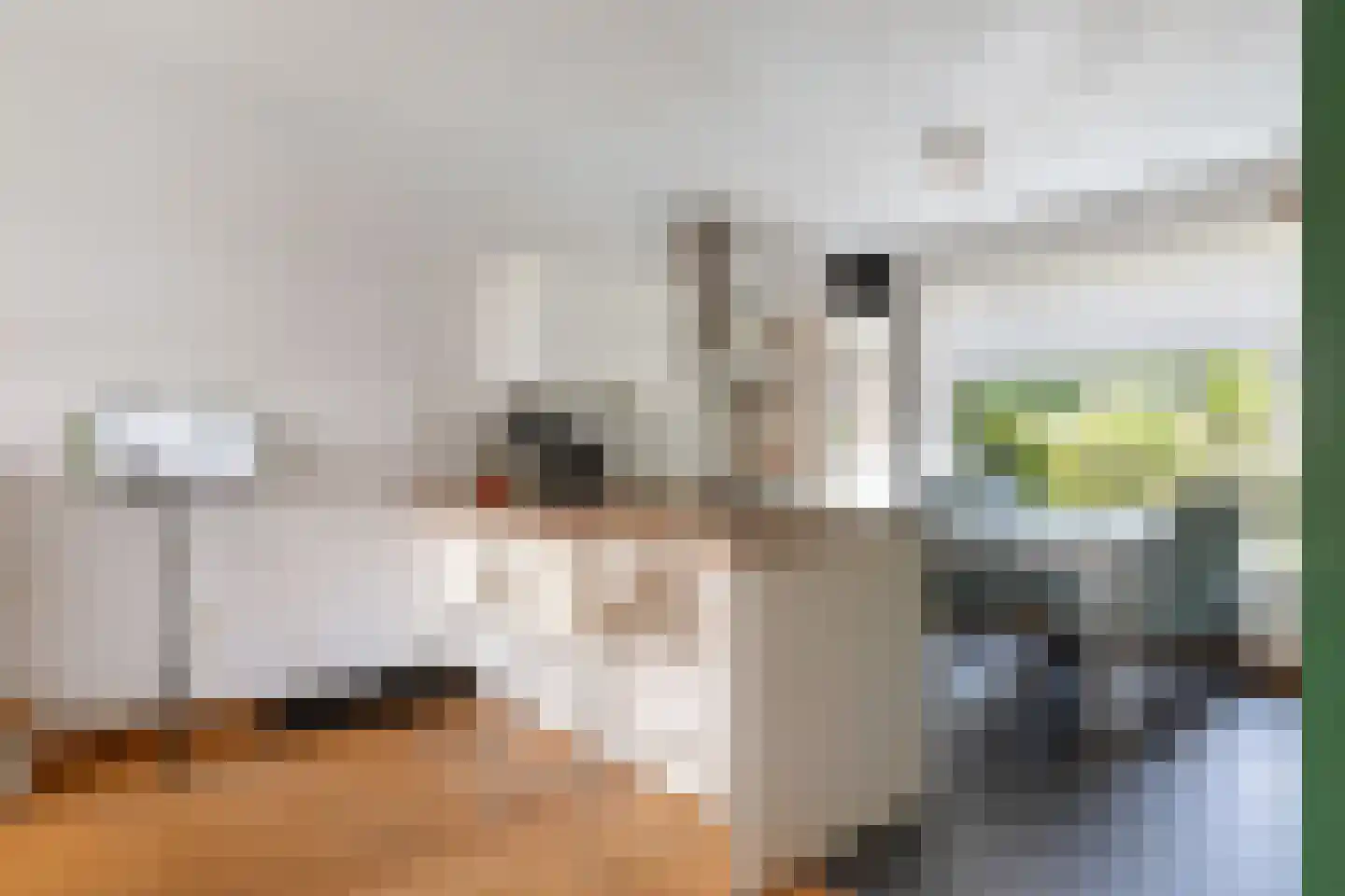 Elzengaard 2 Goirle thumbnail 6