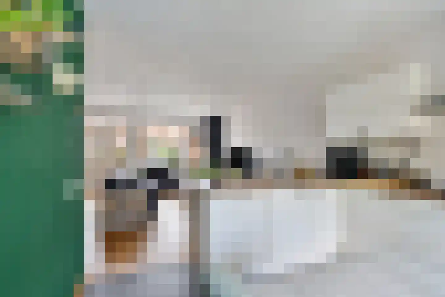 Elzengaard 2 Goirle thumbnail 8