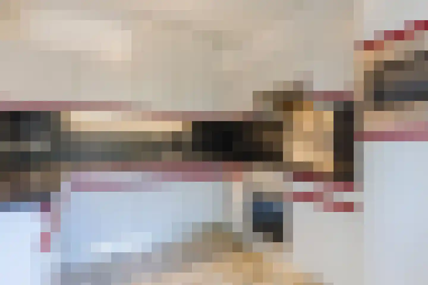 Elzengaard 22 Goirle thumbnail 11