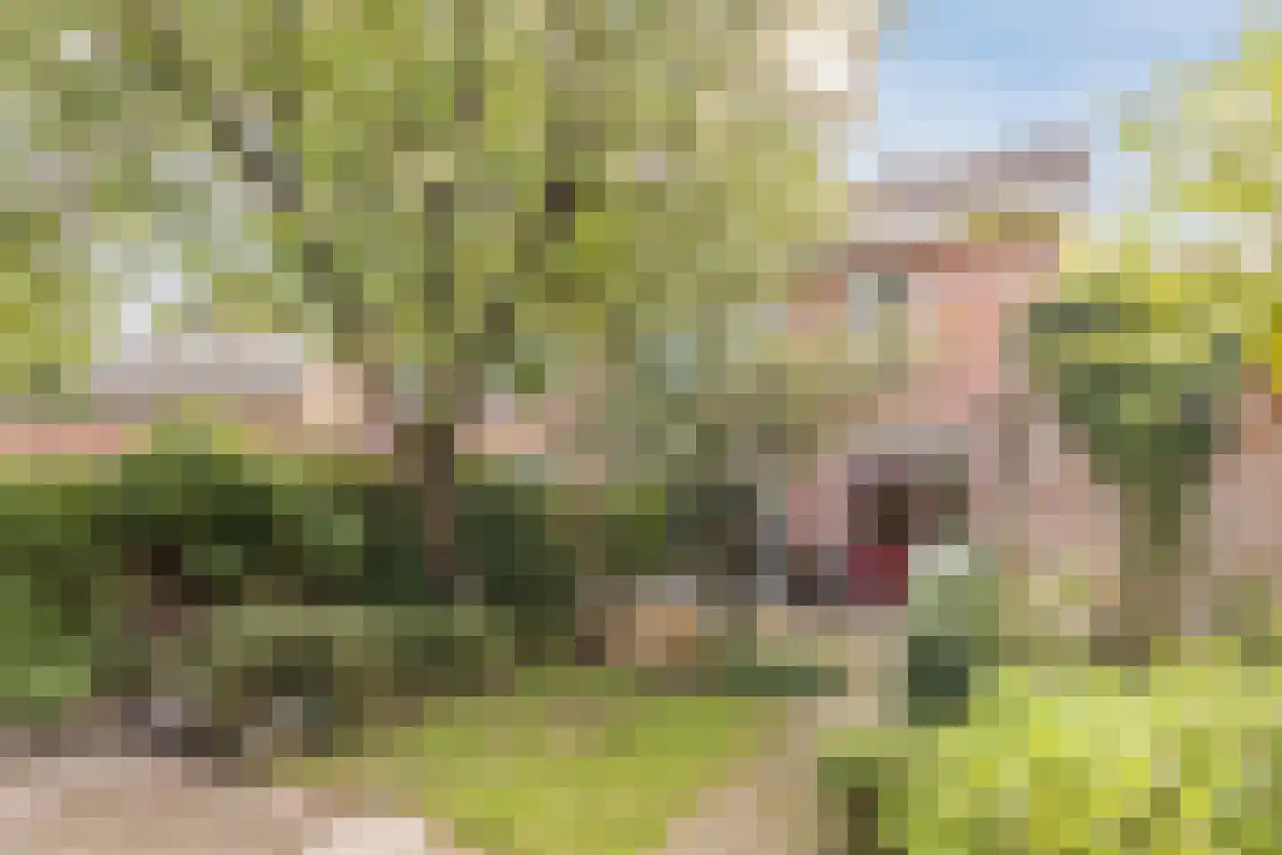 Elzengaard 22 Goirle thumbnail 27