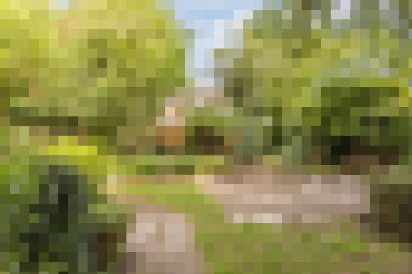 Elzengaard 22 Goirle thumbnail 28