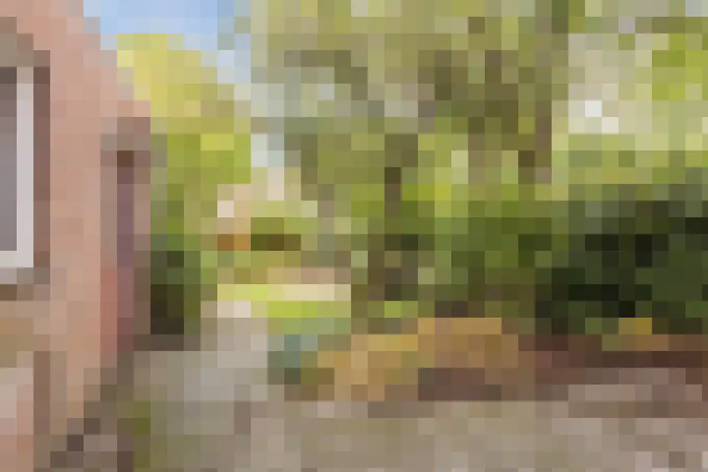 Elzengaard 22 Goirle thumbnail 29