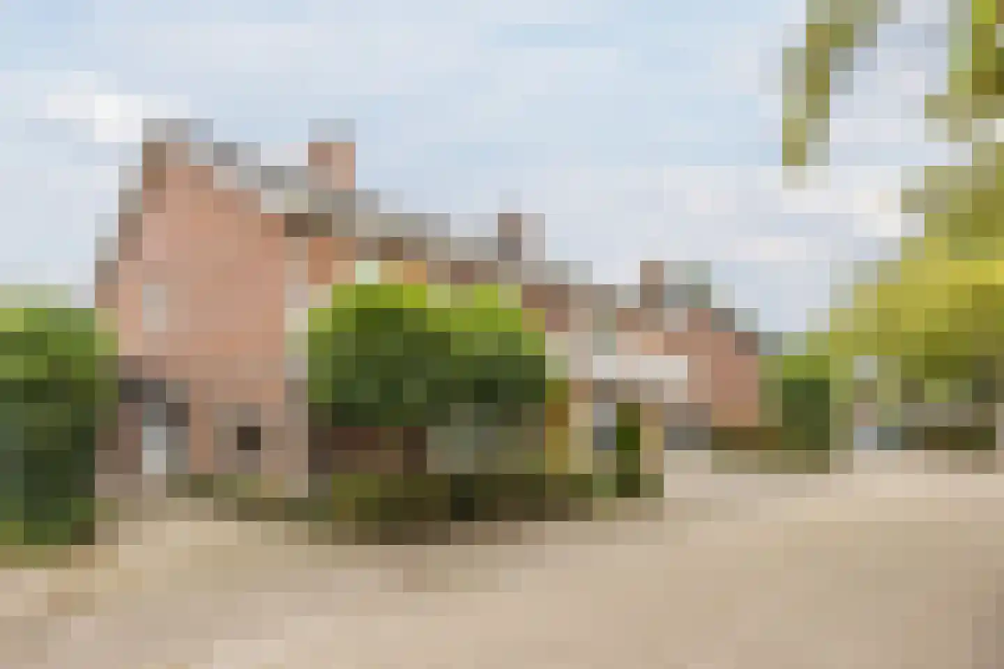 Elzengaard 22 Goirle thumbnail 32