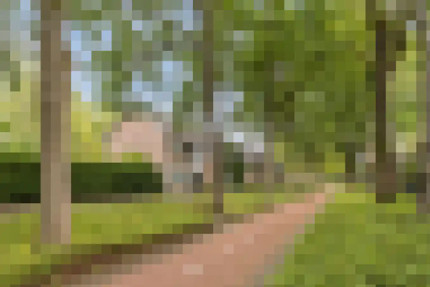 Elzengaard 22 Goirle thumbnail 34