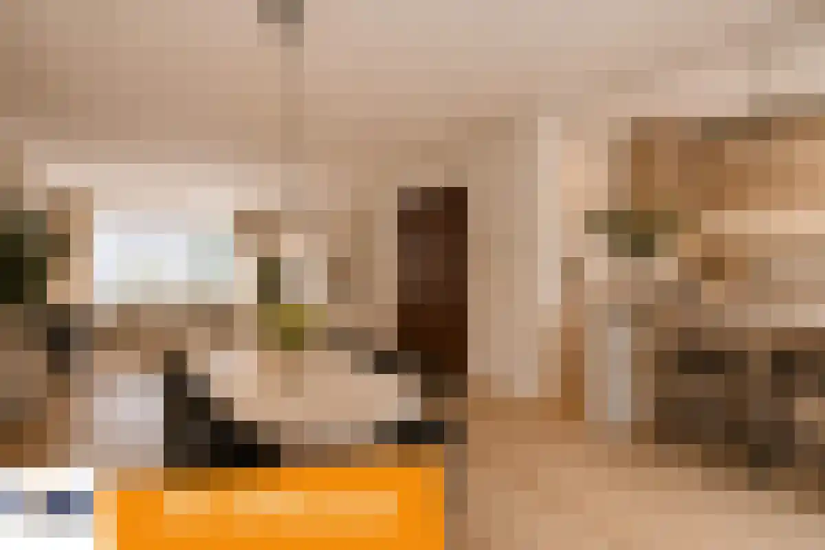 Elzengaard 22 Goirle thumbnail 5
