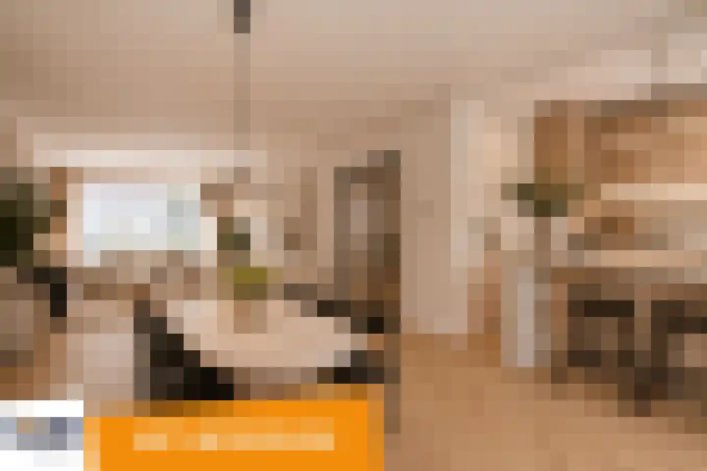Elzengaard 22 Goirle thumbnail 6