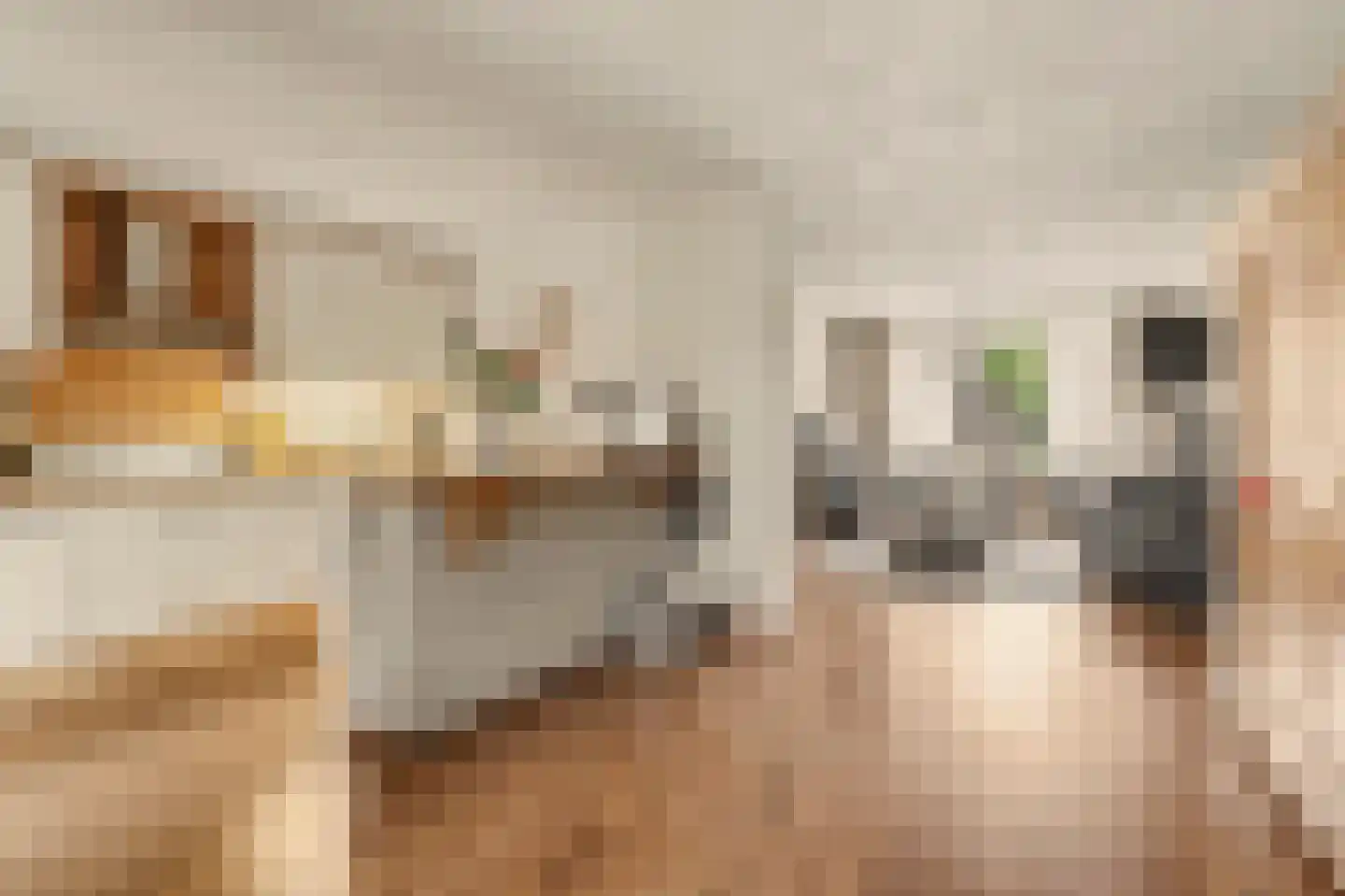 Elzengaard 23 Goirle thumbnail 10