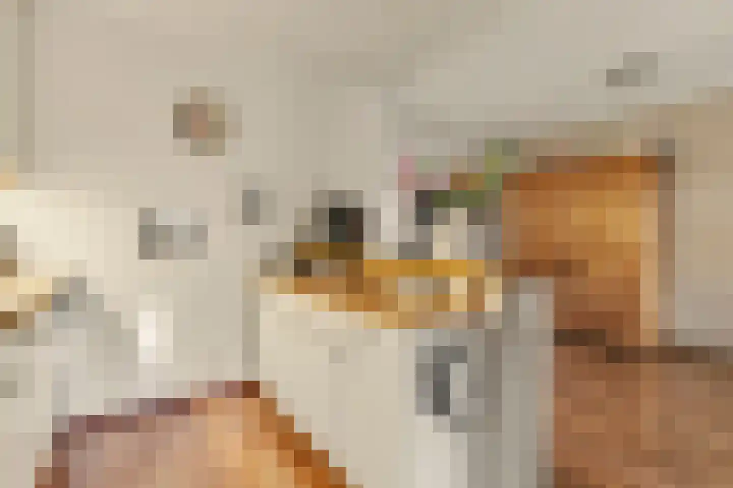 Elzengaard 23 Goirle thumbnail 12