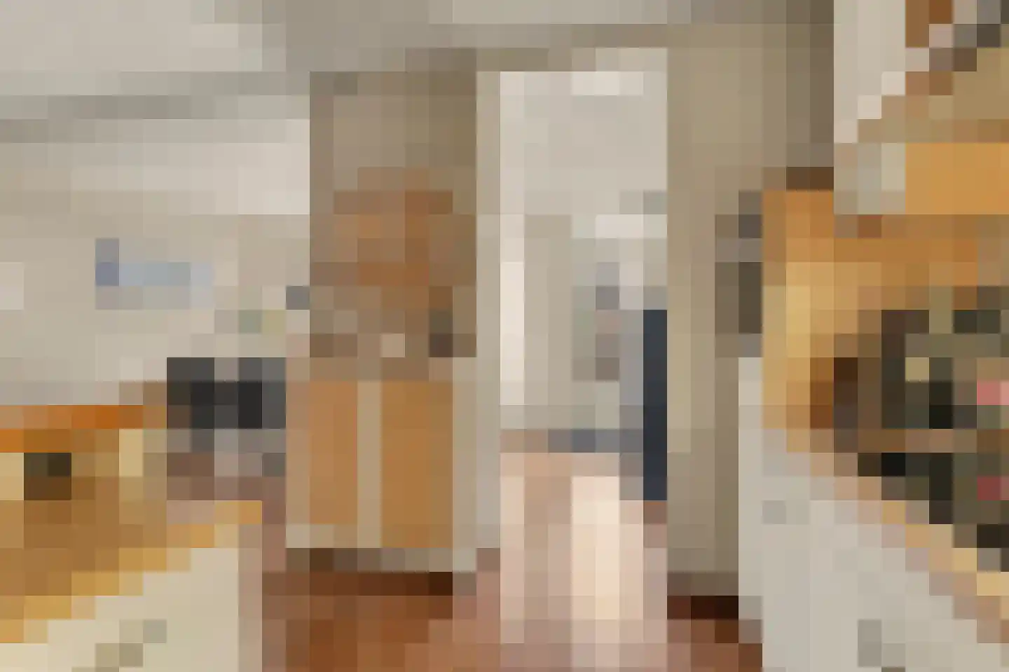 Elzengaard 23 Goirle thumbnail 13
