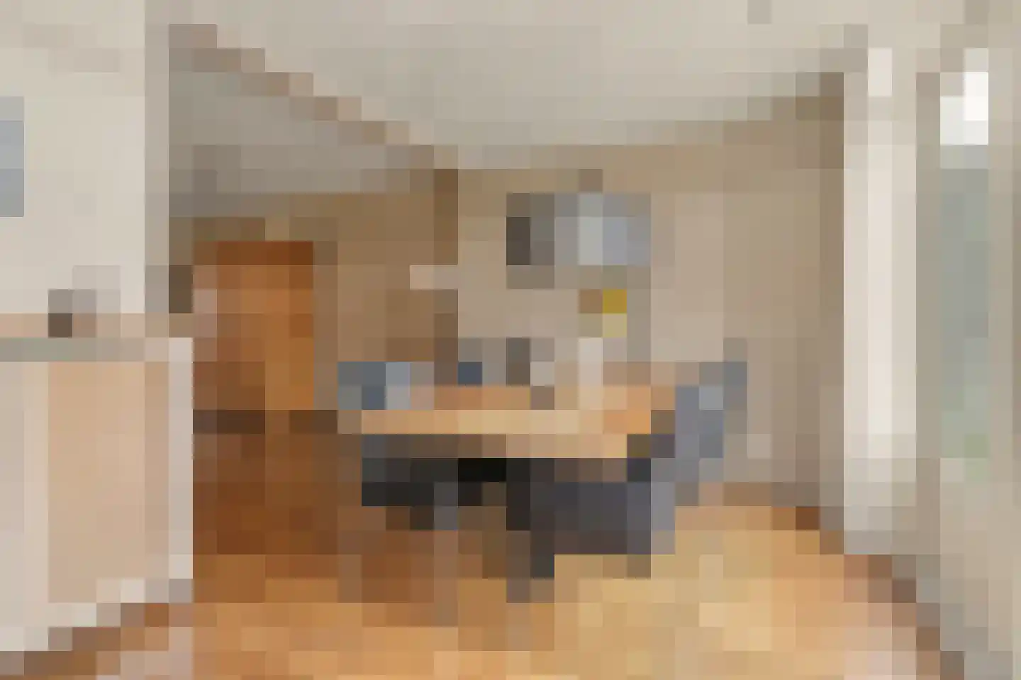 Elzengaard 23 Goirle thumbnail 14