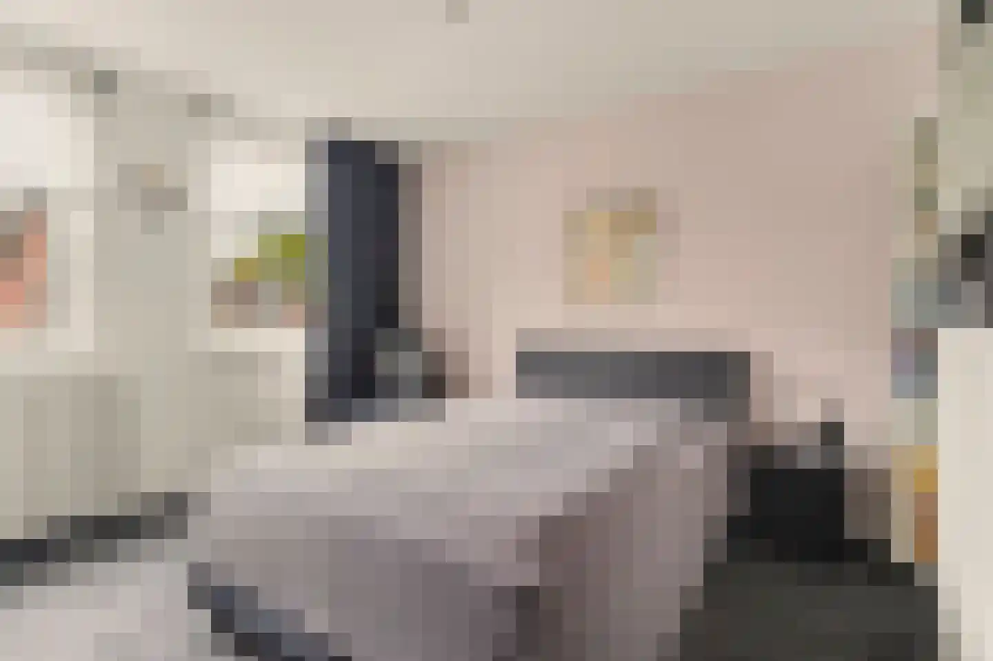 Elzengaard 23 Goirle thumbnail 15