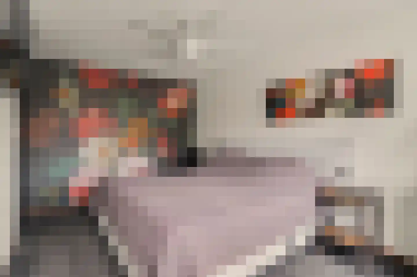 Elzengaard 23 Goirle thumbnail 19