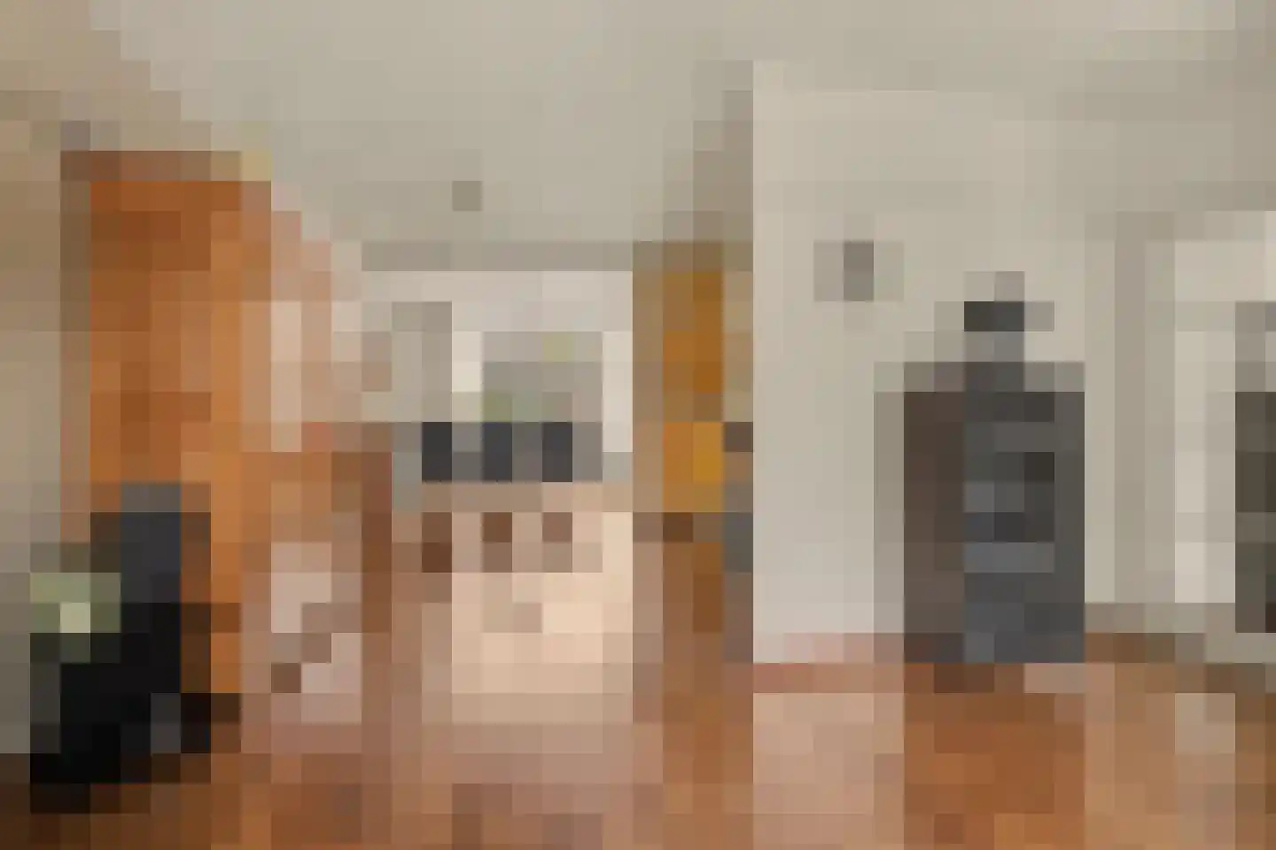 Elzengaard 23 Goirle thumbnail 8