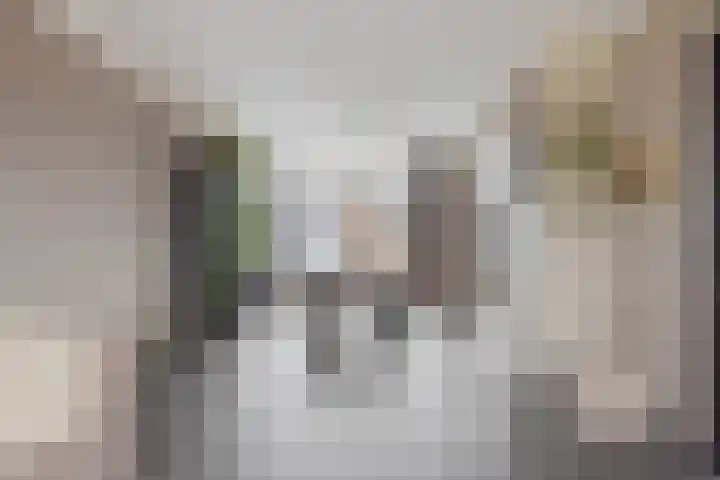 Elzengaard 28 Boxtel thumbnail 7