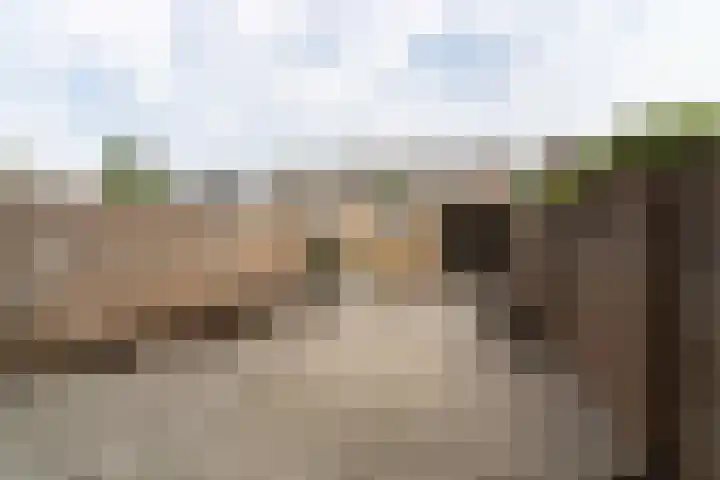 Elzengaard 38 Boxtel thumbnail 20