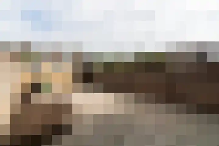Elzengaard 38 Boxtel thumbnail 21