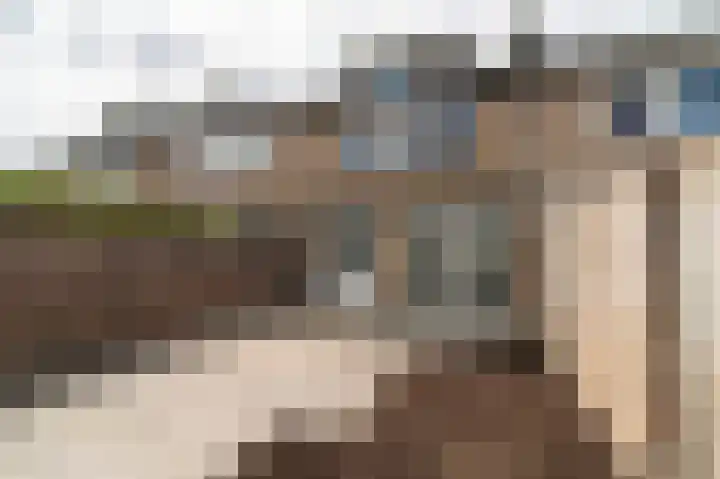Elzengaard 38 Boxtel thumbnail 23