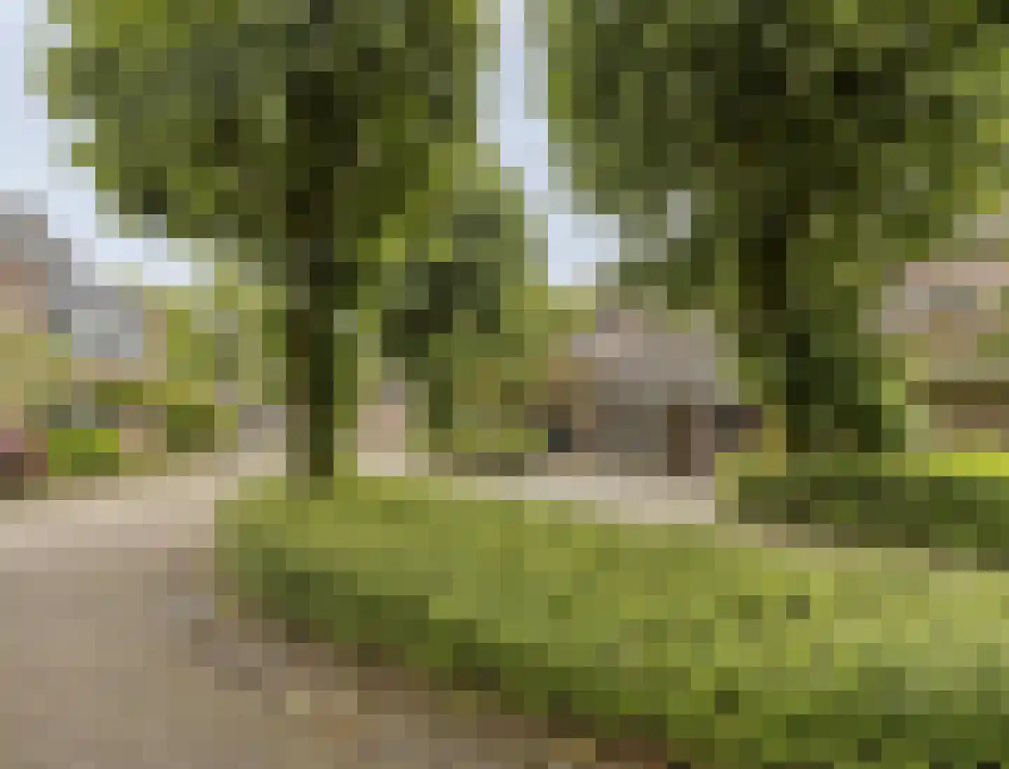 Elzengaard 57 Goirle thumbnail 10