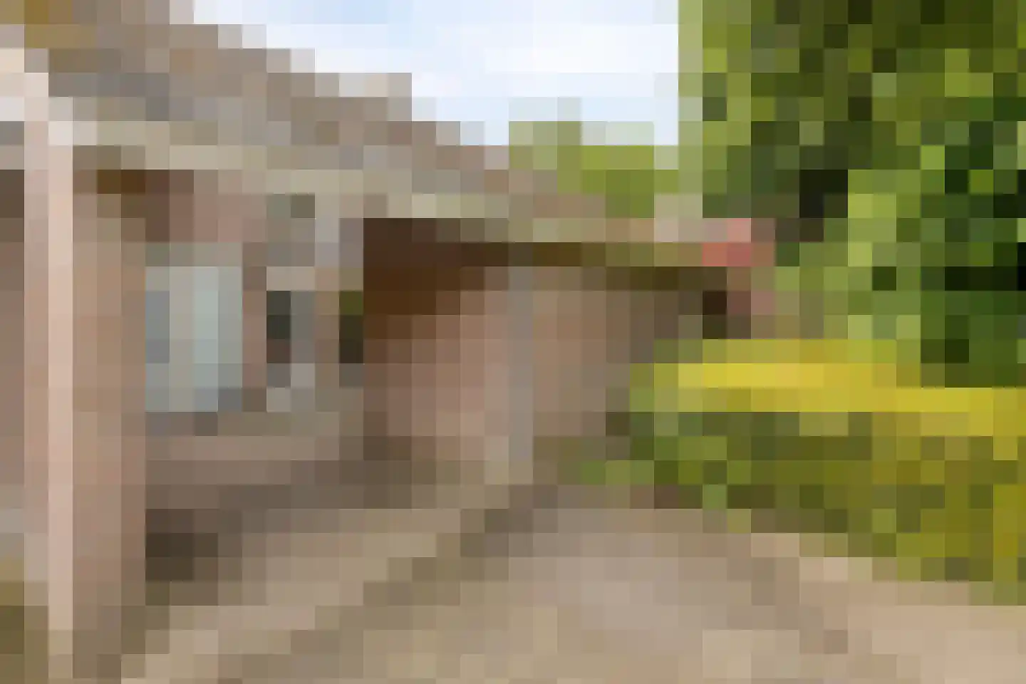 Elzengaard 57 Goirle thumbnail 11