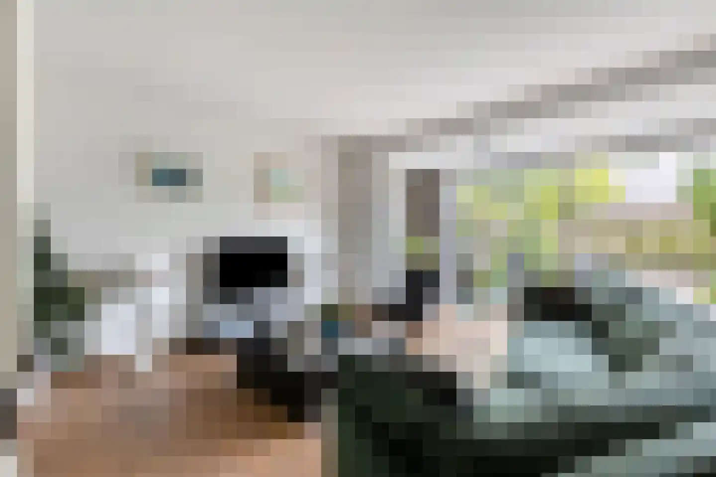 Elzengaard 57 Goirle thumbnail 16