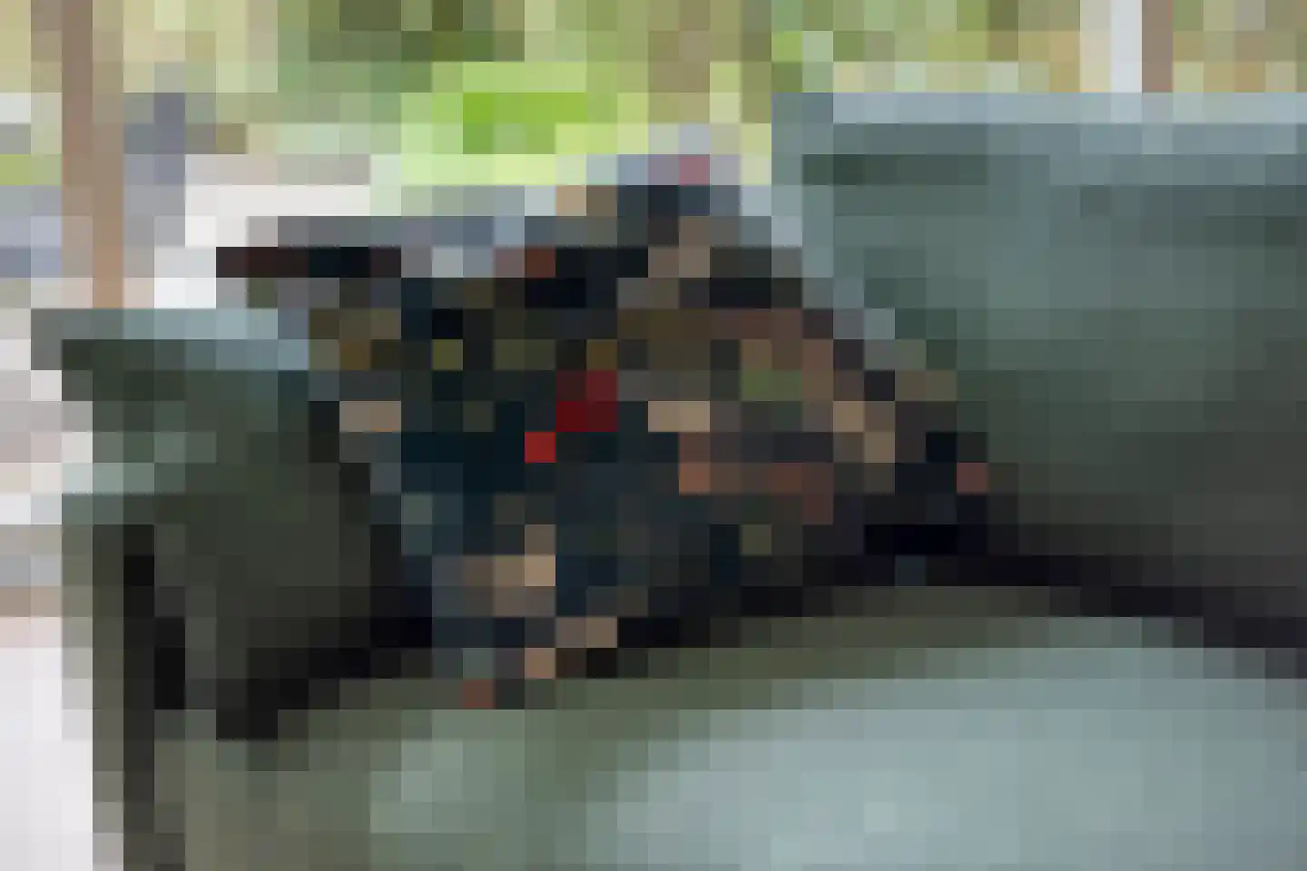 Elzengaard 57 Goirle thumbnail 21
