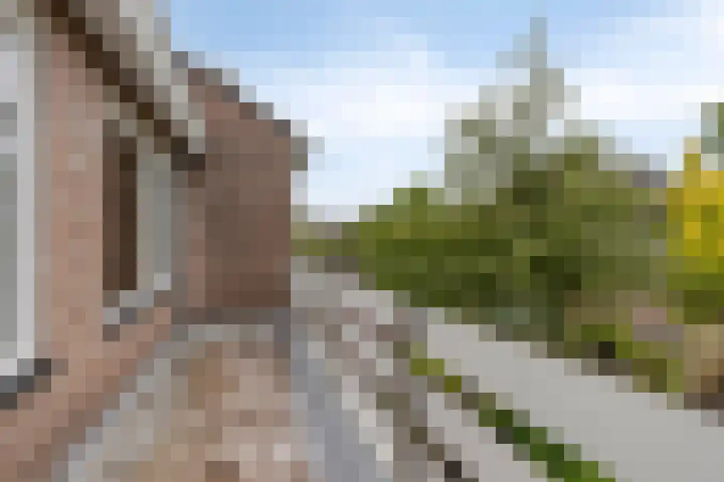 Elzengaard 57 Goirle thumbnail 38