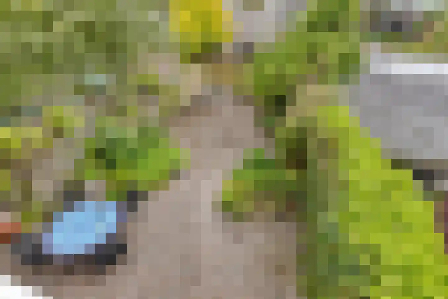 Elzengaard 57 Goirle thumbnail 39